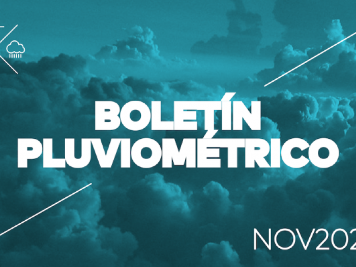 noviembre 2020